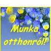 Otthoni kereseti lehetőség Otthoni kereseti lehetőség